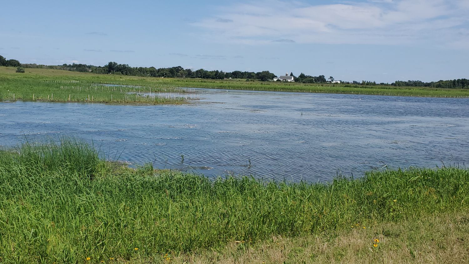 Muirhead Forest Preserve 